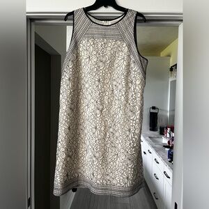 Sz 16 Loft Eyelet Shift Dress